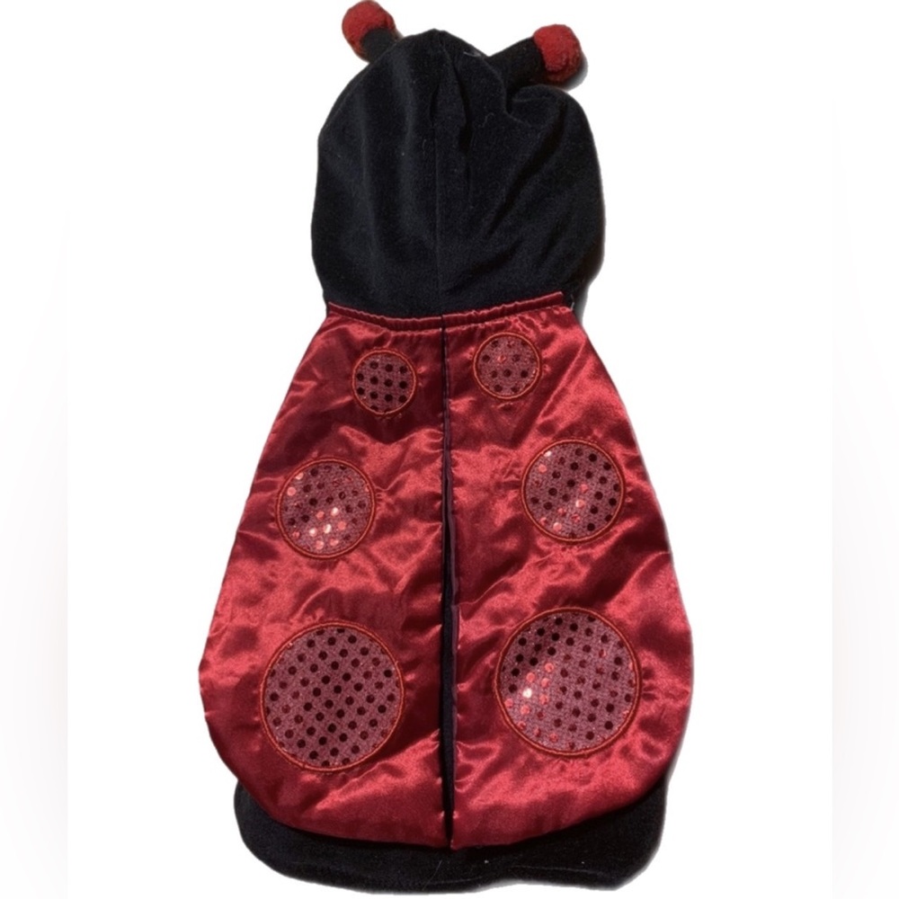 🖤🐶🖤Small dog LADY BUG COSTUME EUC only worn once & SO CUTE 🖤🐶🖤